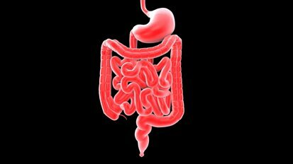 That Gut Feeling: Oral Manifestations of Gastrointestinal Inflammatory Conditions