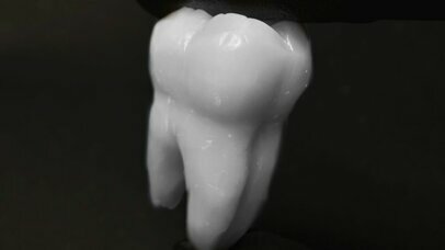 Tooth Morphology - Wax carving workshop (Liverpool)